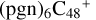 ${\left( {{\rm{pgn}}} \right)_6}{{\rm{C}}_{48}}^ + $
