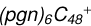 ${\left( {pgn} \right)_6}{C_{48}}^ + $