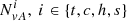 $ N_{vA}^{i},\ i\in\{t,c,h,s\} $