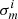 $ \sigma_{m }^i $