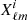 $ X_{\ell m}^{i} $