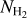 ${N_{{\rm{H}}_{\rm{2}}}}}$