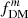 $ f_{\mathrm{DM}}^{m} $
