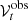 $ \mathcal{V}^{\mathrm{obs}}_t $