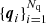 $ \{{\boldsymbol{q}}_i\}_{i=1}^{{{{N_{\text{q}}}}}} $