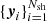 $ \{{\boldsymbol{y}}_i\}_{i=1}^{{{{N_{\text{sh}}}}}} $