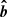 $ \boldsymbol{\hat{b}} $