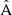 $ {\hat{\text{A}}} $