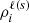 $ \rho_i^{\ell (s)} $