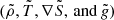 $ (\tilde{\rho}, \tilde{T}, \nabla \tilde{S},\,\mathrm{and}\,\tilde{g}) $