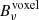 $ B_\nu^{\rm voxel} $