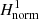 $ H_{\mathrm{norm}}^{1} $