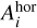 $A_i^{{\rm{hor}}}$