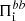 $ \Pi^{bb}_{\mathrm{i}} $