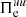 $ \Pi^{uu}_{\mathrm{e}} $