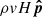 $ \rho v H\boldsymbol{\hat{p}} $