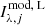 $ I_{\lambda,j}^\text{mod, L} $