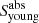 $ S_{\mathrm{young}}^{\mathrm{abs}} $