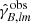 $ \hat{\gamma}_{\mathit{B},\mathit{lm}}^{\mathrm{obs}} $