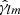 $ \hat{\gamma}_{lm} $