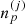$ n_{p}^{\left (j \right)} $