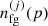 $ n_{\mathrm{fg}}^{(j)}(p) $