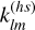 $k_{lm}^{\left( {h\,s} \right)}$
