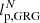 $ l_\mathrm{p,GRG}^N $