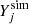 $ Y_j^{{\rm sim}} $