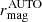 $ r_{\mathrm{mag}}^{\mathrm{AUTO}} $