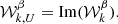 $$ \begin{aligned}&\mathcal{W} _{k,U}^{\beta } = \mathrm{Im}(\mathcal{W} _{k}^{\beta }). \end{aligned} $$