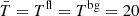 $ \bar{T}=T^{\mathrm{fl}} = T^{\mathrm{bg}}= 20 $