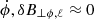 $ \dot{\phi} , \delta B_{\perp \phi, \ell} \approx 0 $