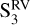 ${\rm{S}}_3^{{\rm{RV}}}$