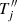 $ T_j^{\prime\prime} $