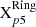 $ \mathrm{X}^{\mathrm{Ring}}_{p5} $
