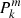 $ {{P^m_k}} $