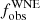 $ f_{\mathrm{obs}}^{\mathrm{WNE}} $