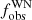 $ f_{\mathrm{obs}}^{\mathrm{WN}} $