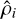 ${{\hat \rho }_i}$