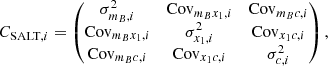 $$ \begin{aligned} C_{\mathrm{SALT}, i} = \begin{pmatrix} \sigma ^2_{m_B, i}&\mathrm{Cov}_{m_B x_1, i}&\mathrm{Cov}_{m_B c, i} \\ \mathrm{Cov}_{m_B x_1, i}&\sigma ^2_{x_1, i}&\mathrm{Cov}_{x_1 c, i} \\ \mathrm{Cov}_{m_B c, i}&\mathrm{Cov}_{x_1 c, i}&\sigma ^2_{c, i} \end{pmatrix}, \end{aligned} $$