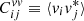 $ C_{ij}^{vv} \equiv \langle v_i v_j^* \rangle $