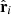 $ \hat{\mathbf{r}}_i $