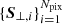 $ \{{\boldsymbol{S}}_{\perp, i}\}_{i=1}^{N_{\rm pix}} $