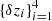 $ \{\delta z_{i}\}_{i=1}^{4} $