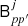 $ \mathsf{B}_{pp^\prime}^j $