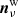 $ {\boldsymbol{n}}^{\mathrm{w}}_{\nu} $