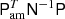 $ \mathsf{P}_\mathrm{am}^T\mathsf{N}^{-1}\mathsf{P} $