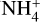 ${\rm{NH}}_4^ + $
