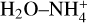 ${{\rm{H}}_2}{\rm{O}} - {\rm{NH}}_4^ + $